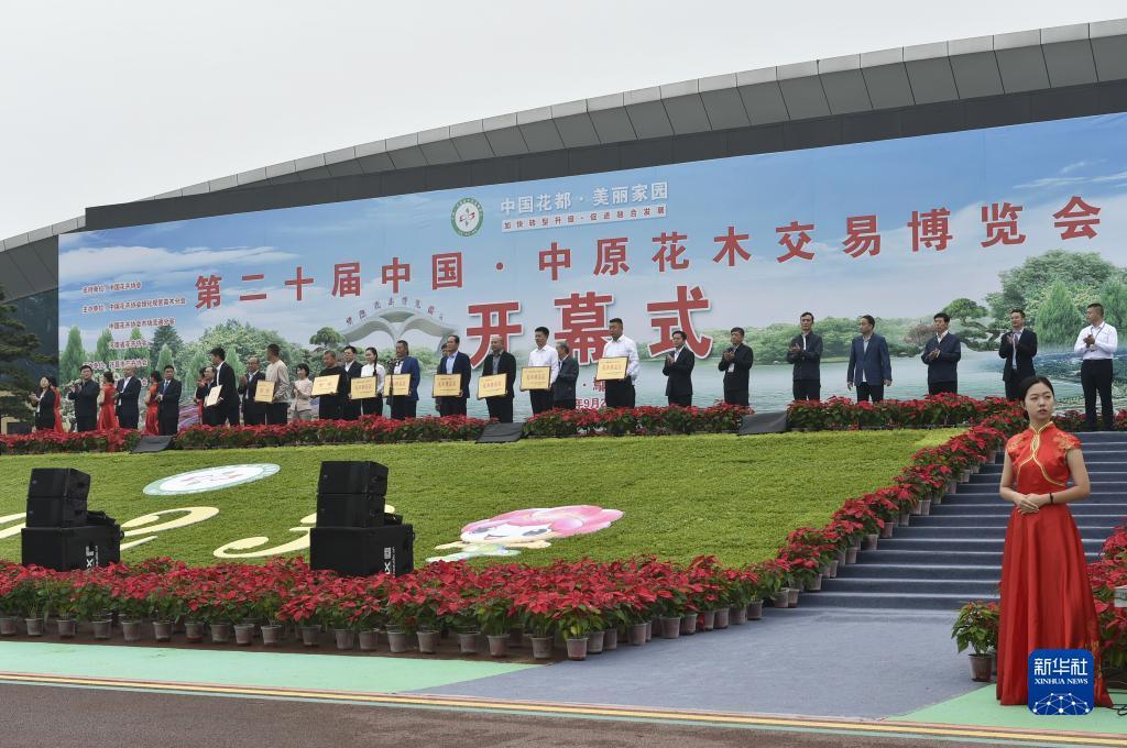 姚记斗地主官方下载