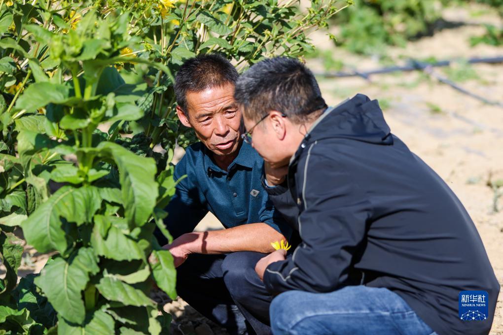 博狗游戏官网